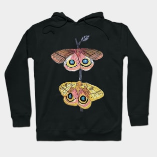 IO Moths: A Study in Dimorphism Hoodie